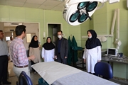 نخستین مرکز تصویربرداری حیوانات آزمایشگاهی جنوب کشور در شیراز راه‌اندازی می شود
